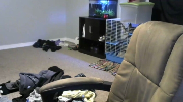 Sean0203  25-09-2021 video kissing